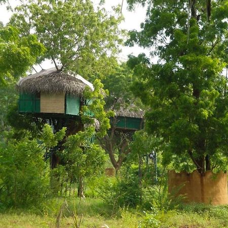 ホテル Yala Beddegama Eco カタラガマ エクステリア 写真