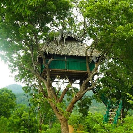 ホテル Yala Beddegama Eco カタラガマ エクステリア 写真