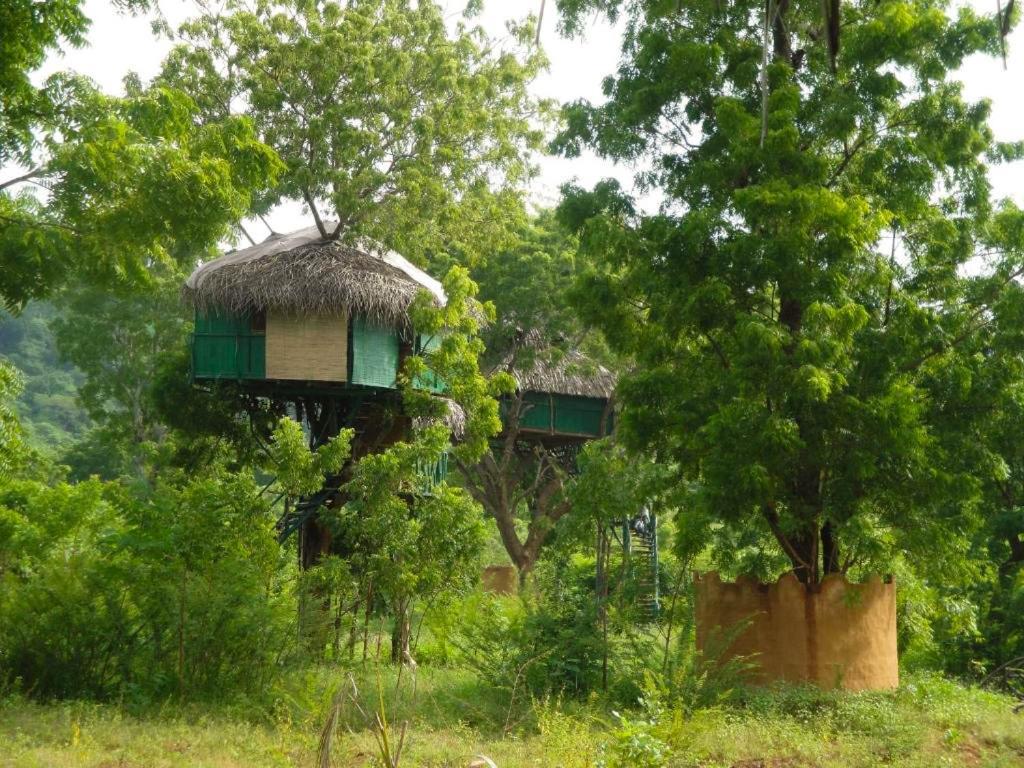 ホテル Yala Beddegama Eco カタラガマ エクステリア 写真