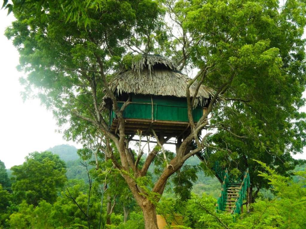 ホテル Yala Beddegama Eco カタラガマ エクステリア 写真