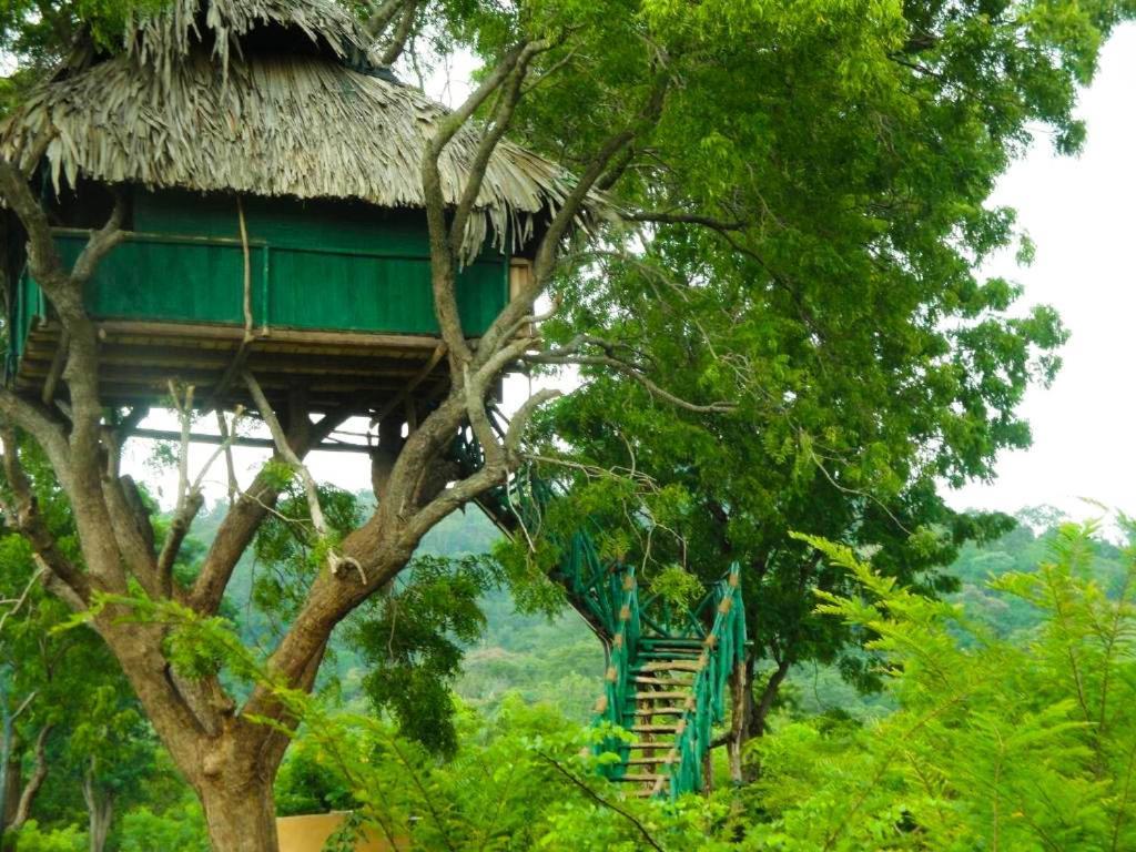 ホテル Yala Beddegama Eco カタラガマ エクステリア 写真