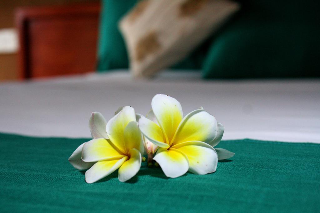 ホテル Yala Beddegama Eco カタラガマ 部屋 写真