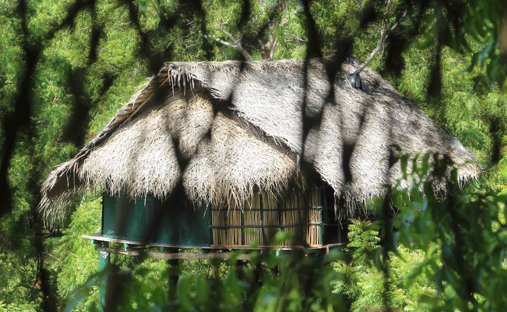 ホテル Yala Beddegama Eco カタラガマ エクステリア 写真