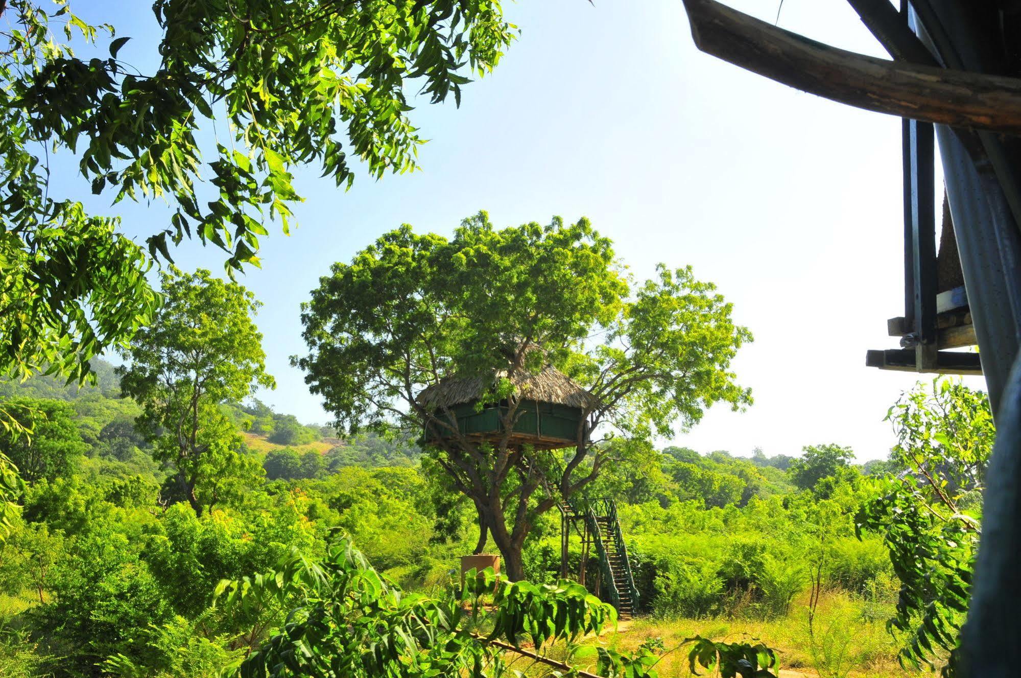 ホテル Yala Beddegama Eco カタラガマ エクステリア 写真