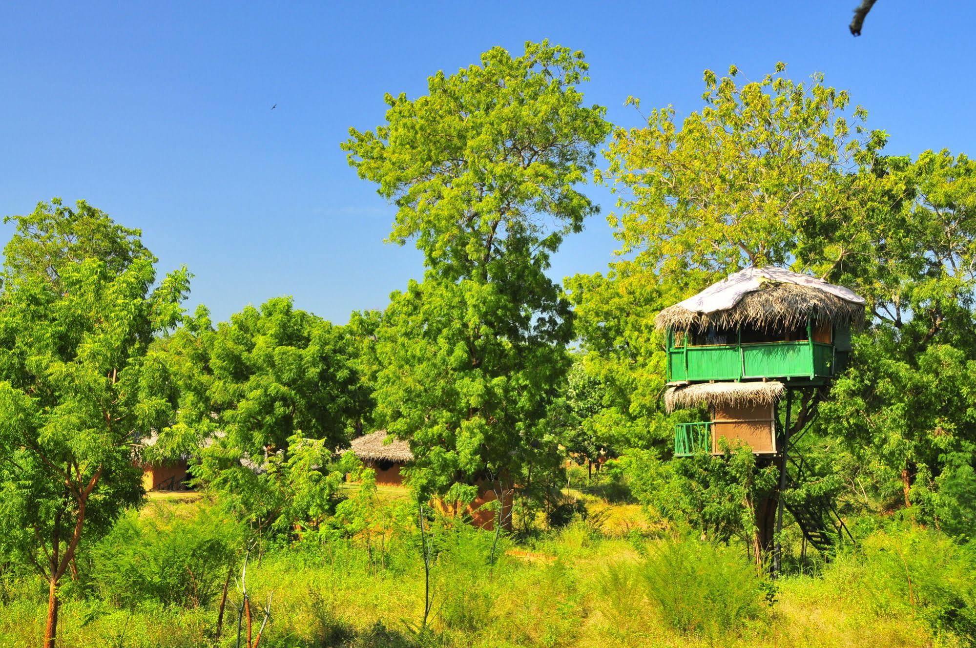 ホテル Yala Beddegama Eco カタラガマ エクステリア 写真